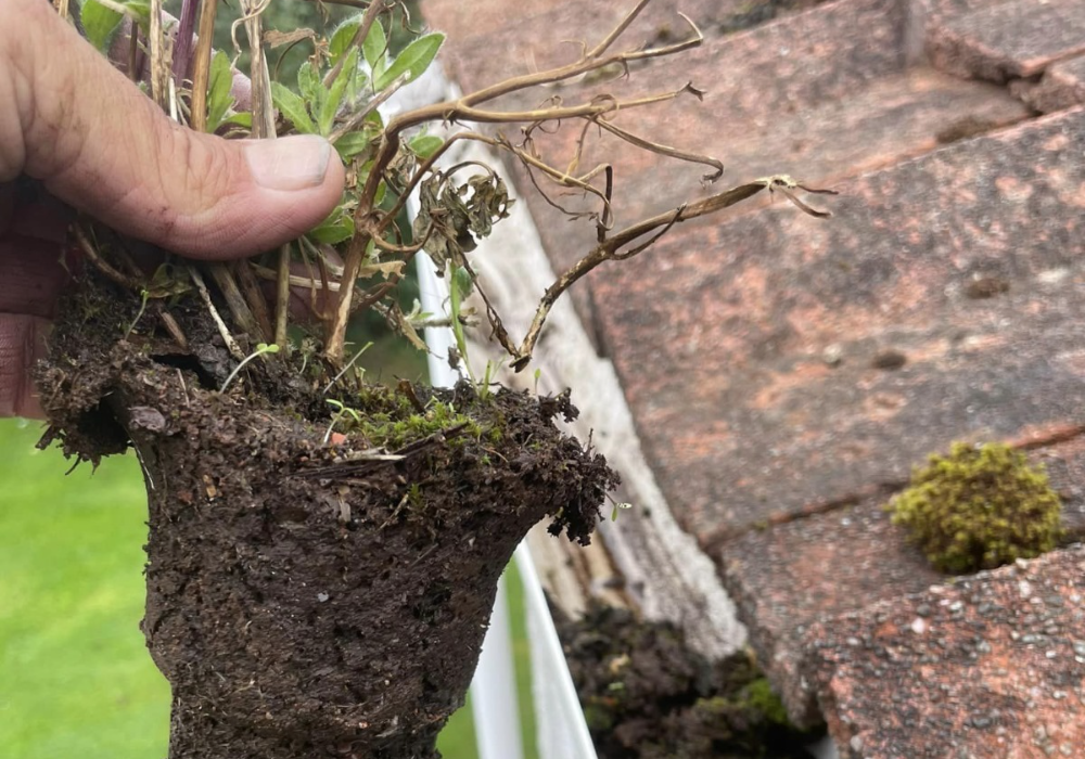 edinburgh gutter cleaning