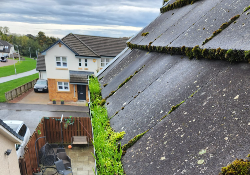 gutter cleaners in edinburgh