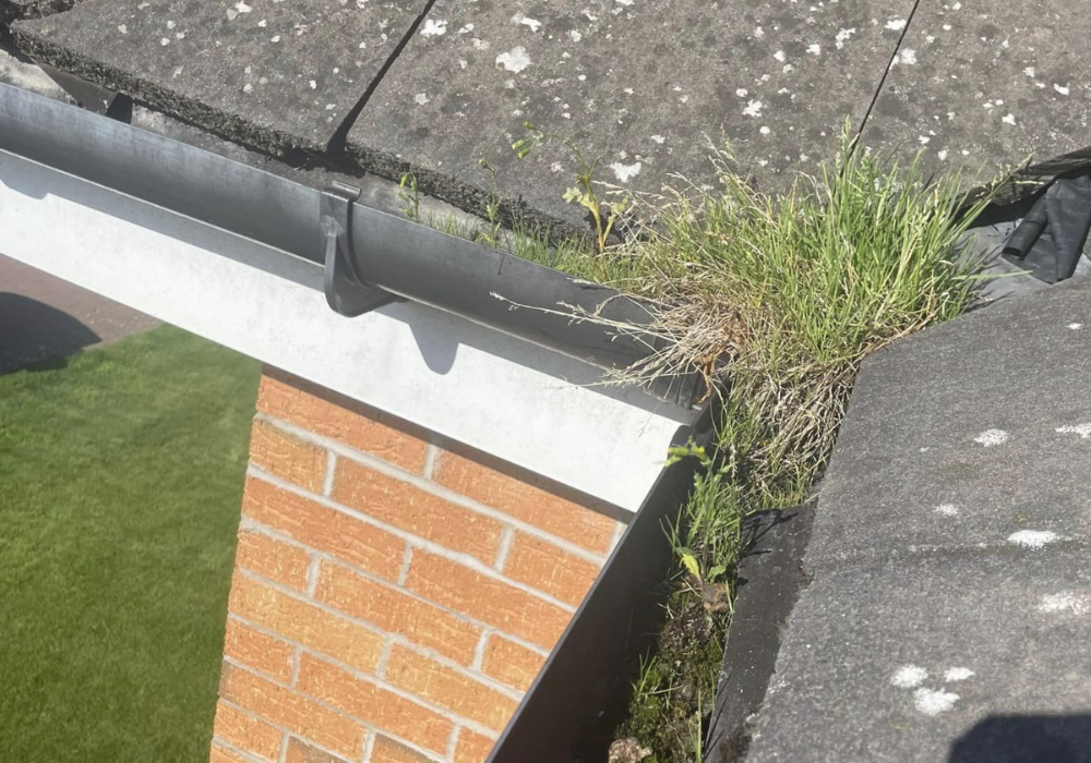 gutter cleaning edinburgh