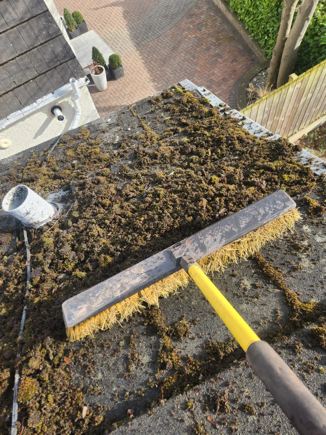 roof cleaning tidy up