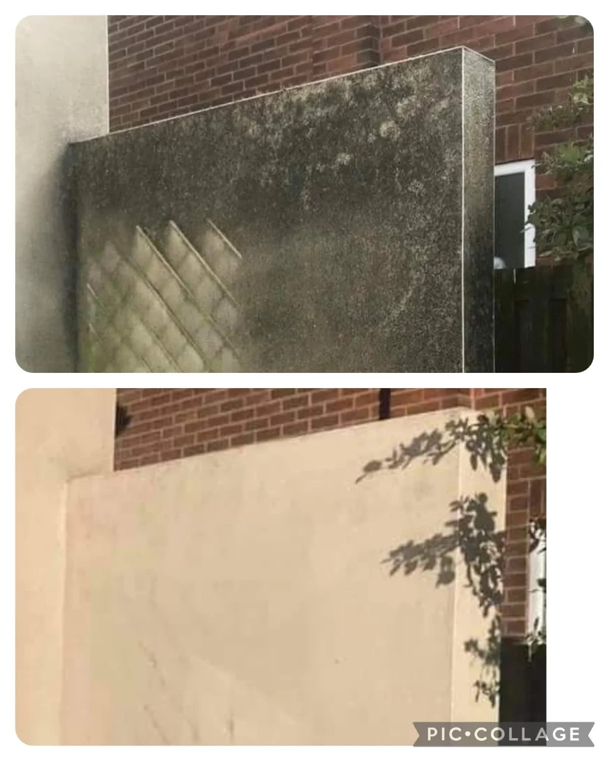 common render stains
