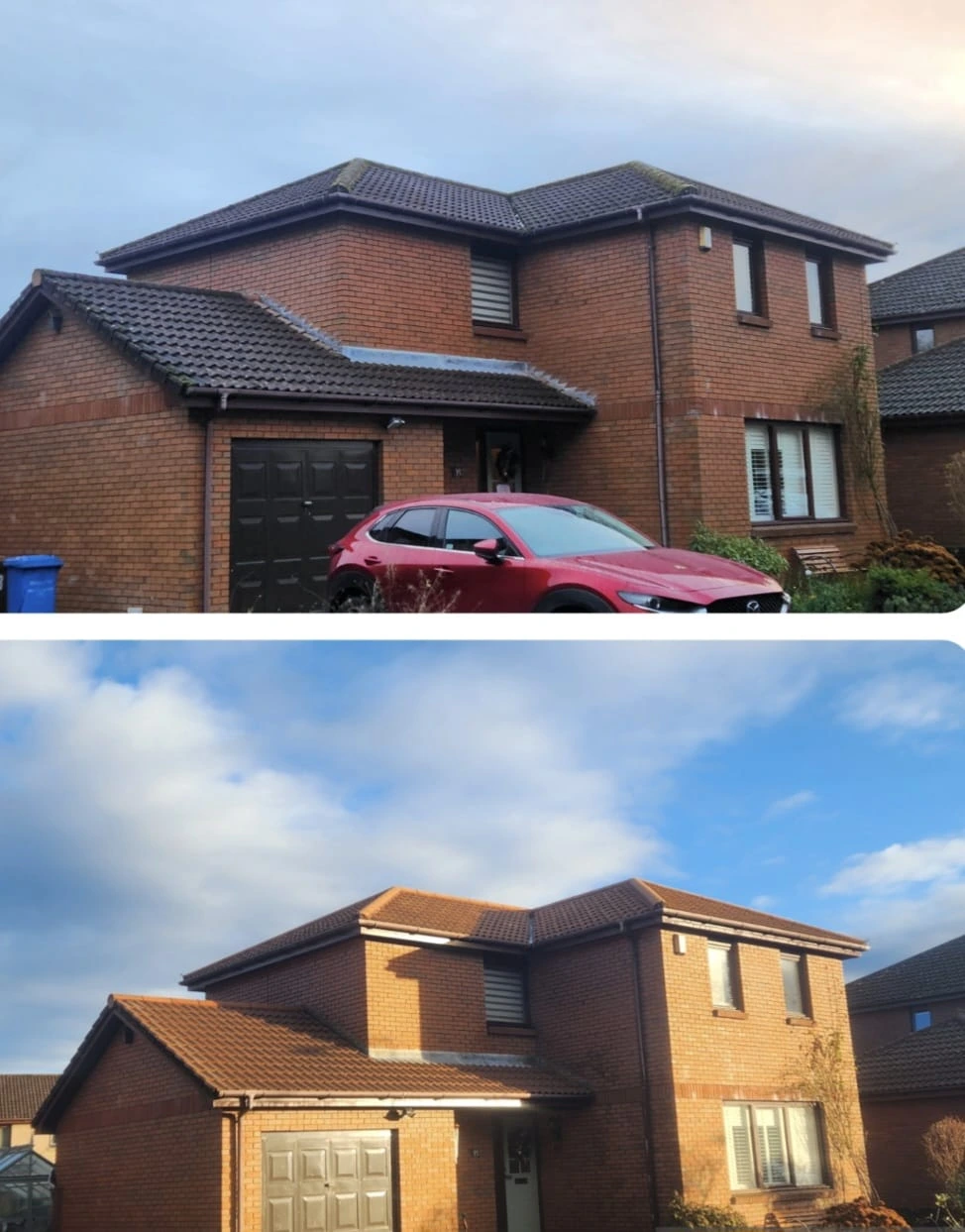 Stirling roof moss cleaners