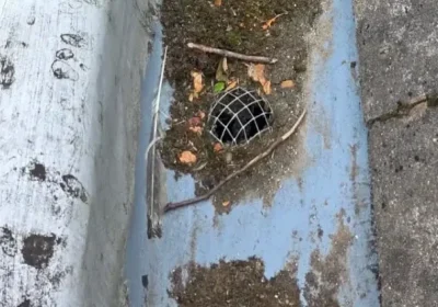 Do gutter guards actually work