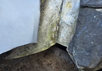 can moss on your roof block gutters
