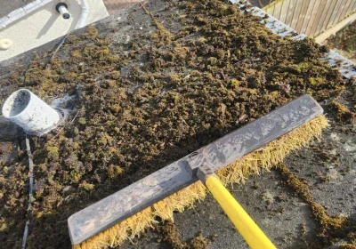 roof cleaning tidy up